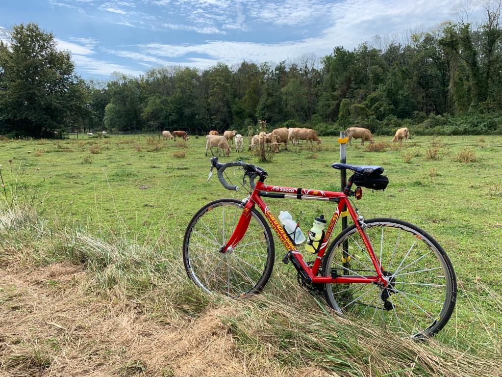 A ride through the farmlands…