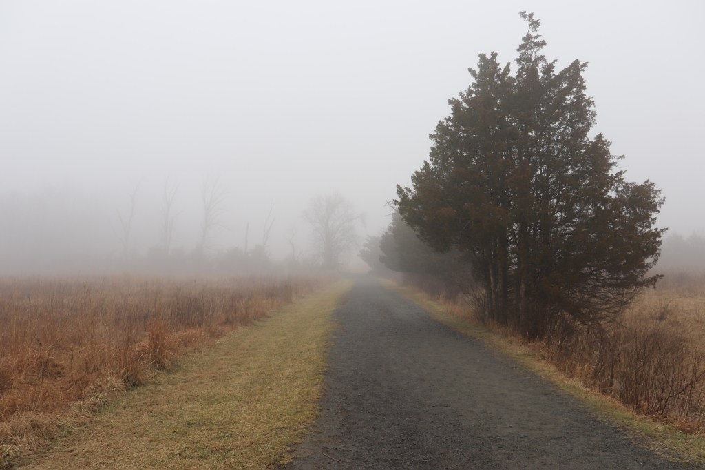 Out of the Fog… Navigating Early Sobriety…