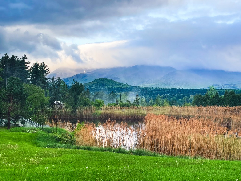 Pedaling Forward: Choosing Sobriety Without Waiting for Life to Be Perfect…